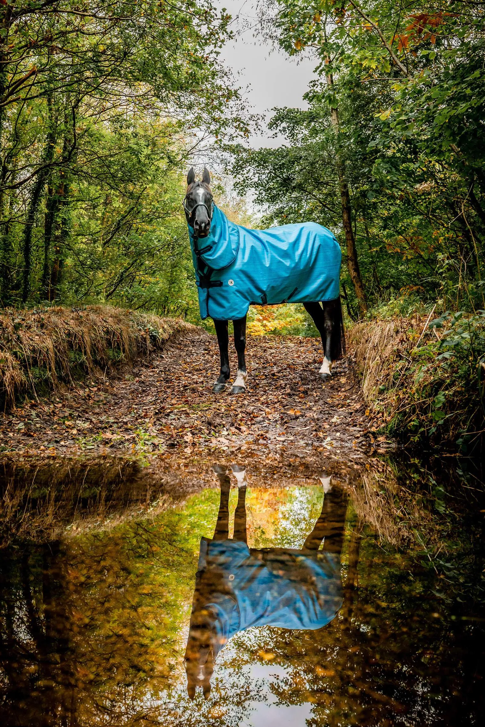 Sale Amigo Hero 900 Revive Plus Turnout Rug with detachable neck cover, 50g Lightweight Turnout Rugs