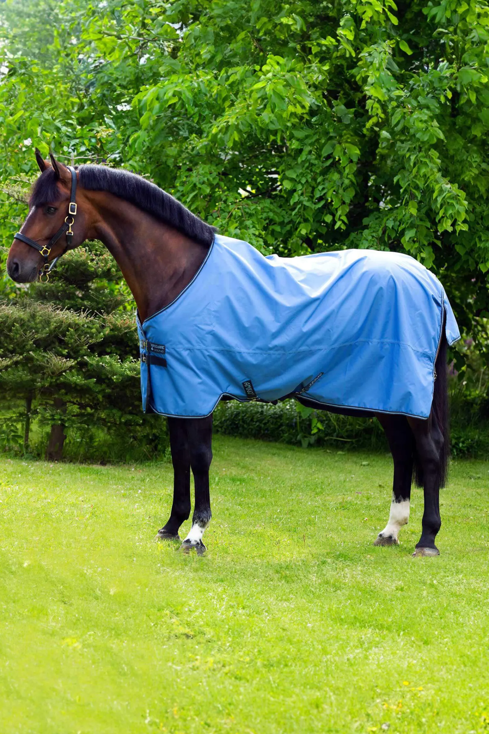 Best Amigo Hero 900 Turnout Rug, 50g Lightweight Turnout Rugs