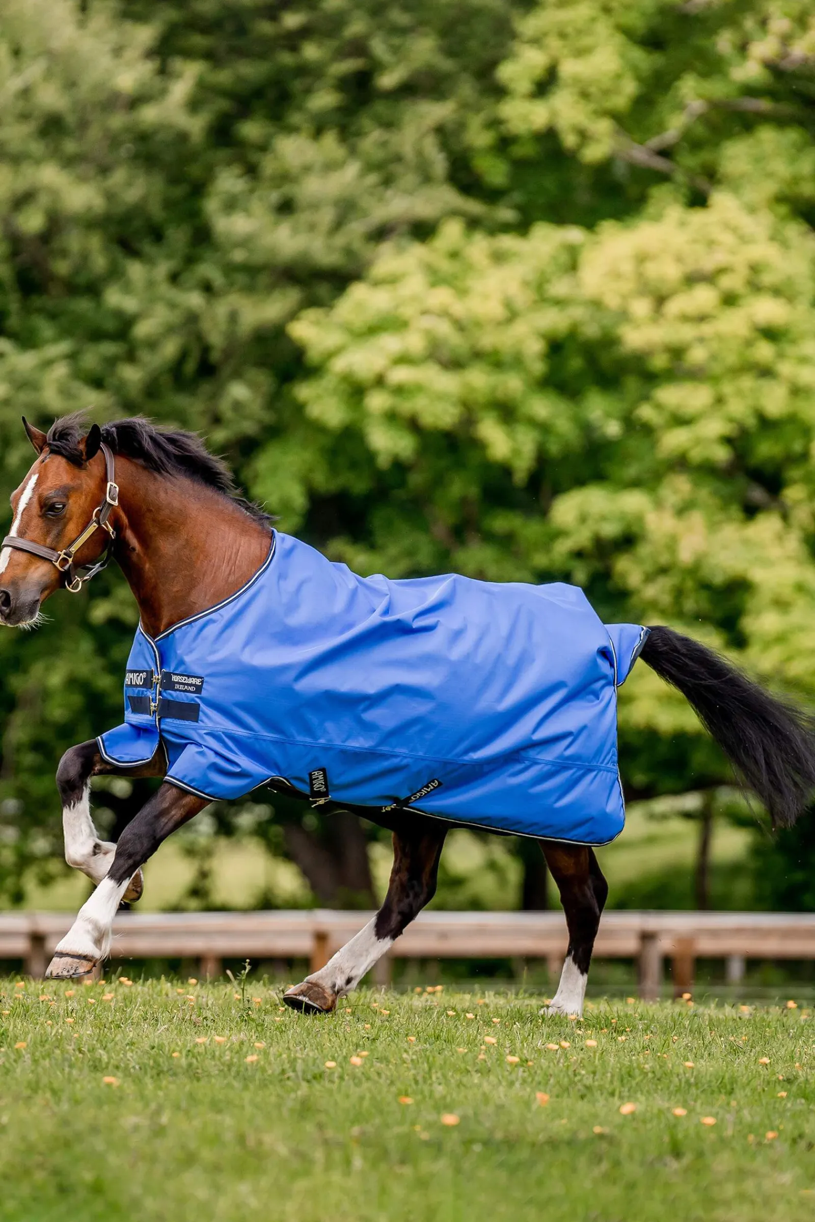 Fashion Amigo Hero Ripstop Turnout Rug, 0g Pony Rugs|Pony Rugs