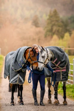Best Amigo Hero Ripstop Plus Turnout Rug With Detachable Neck, 0g Lightweight Turnout Rugs