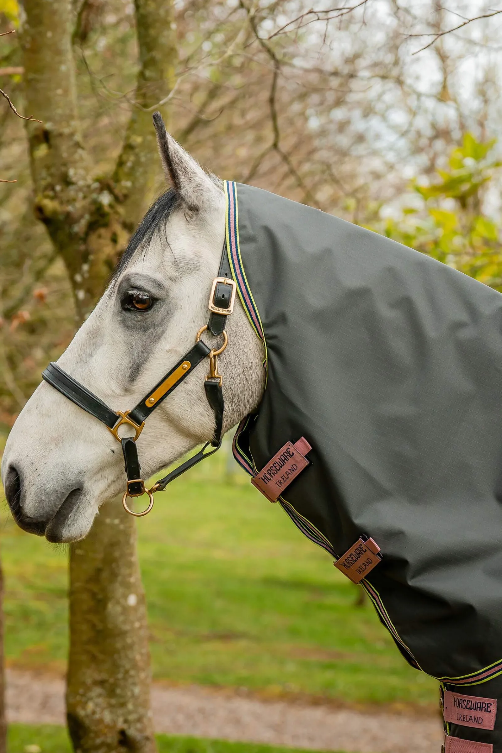 Best Amigo Hero Ripstop Plus Turnout Rug With Detachable Neck, 0g Lightweight Turnout Rugs