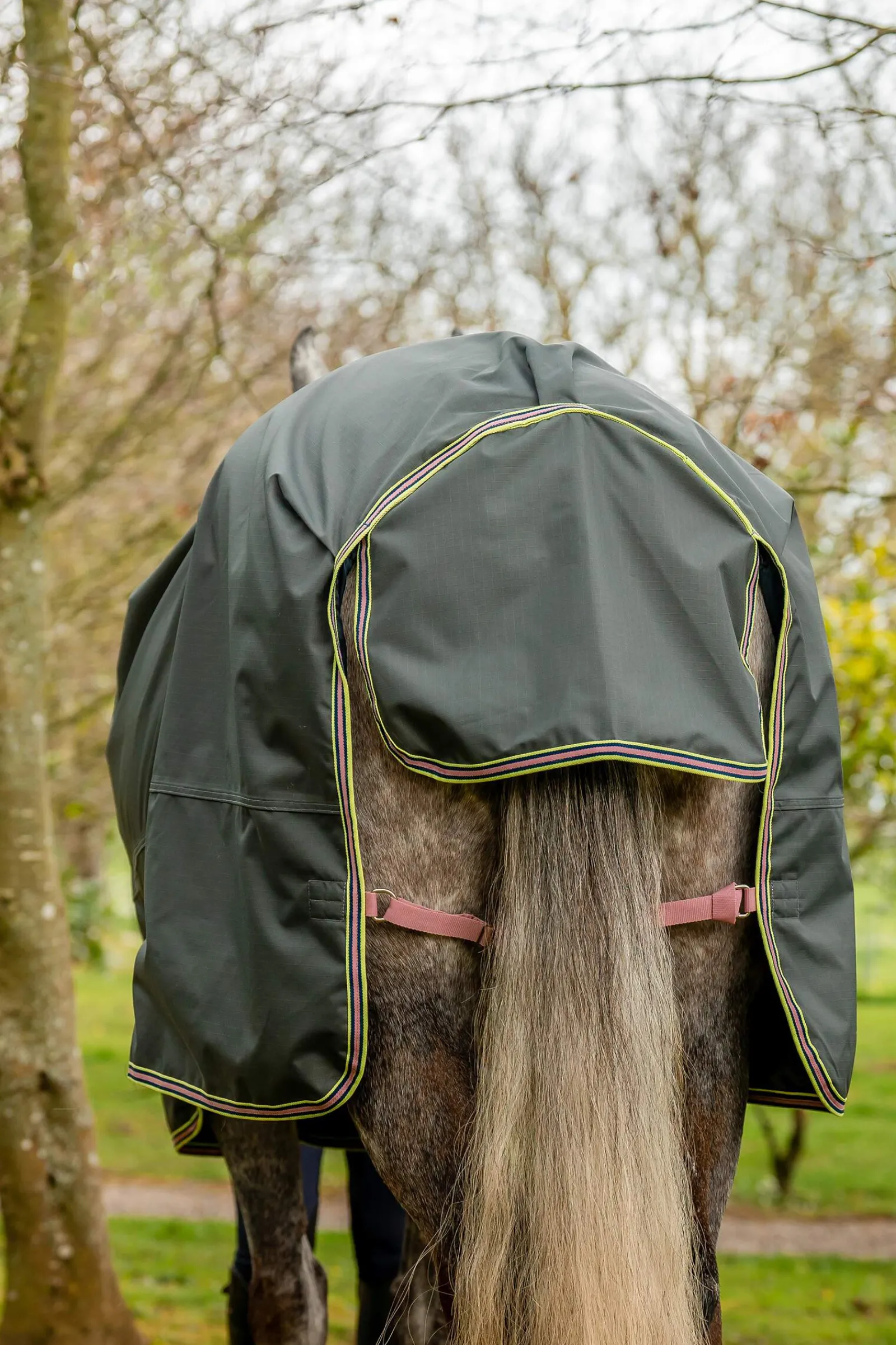 Best Amigo Hero Ripstop Plus Turnout Rug With Detachable Neck, 0g Lightweight Turnout Rugs