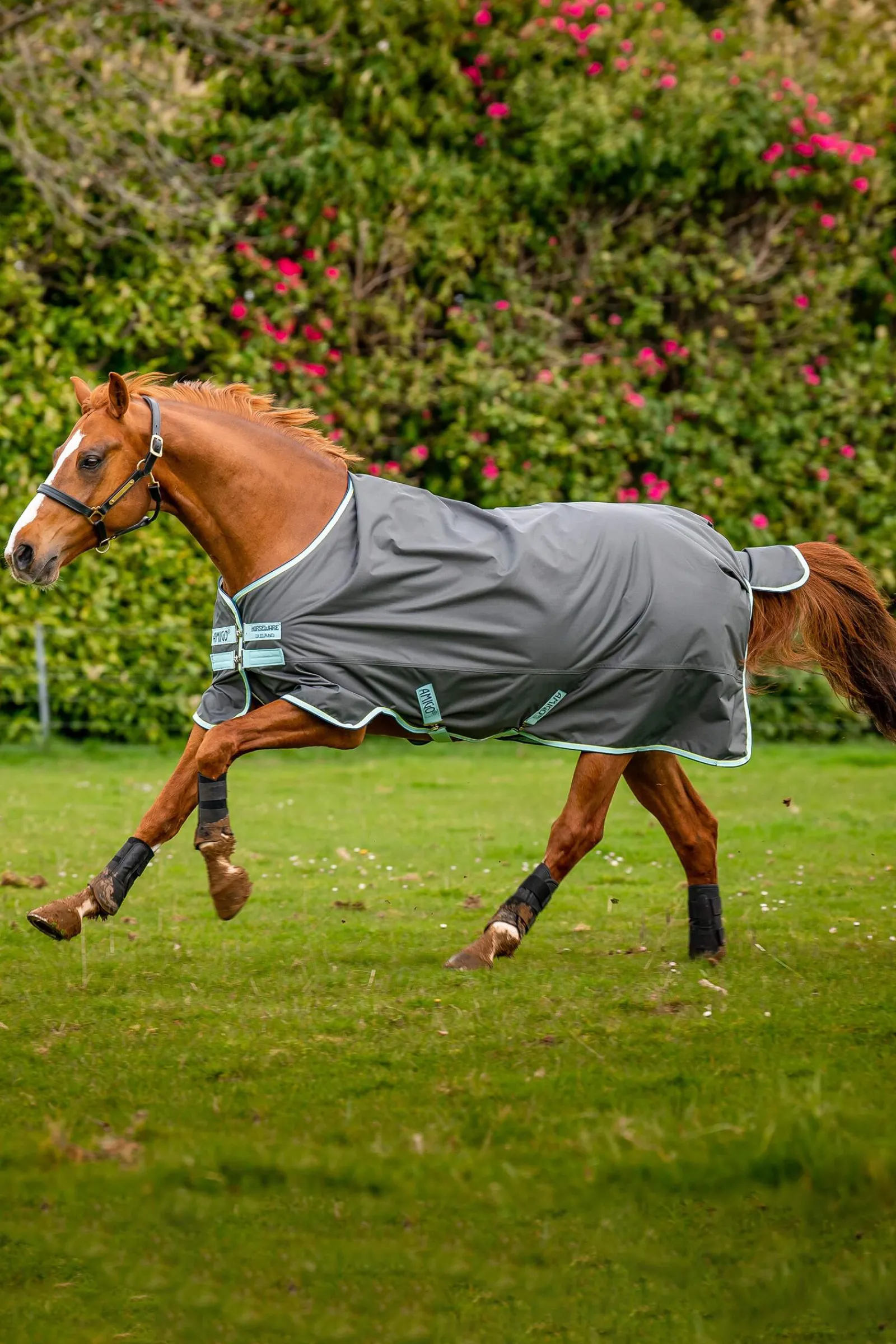 Best Amigo Hero Ripstop Turnout Rug, 50g Lightweight Turnout Rugs