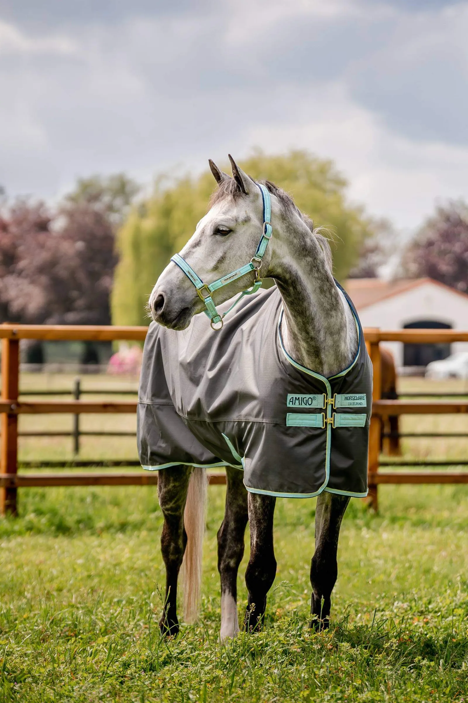 Best Amigo Hero Ripstop Turnout Rug, 50g Lightweight Turnout Rugs