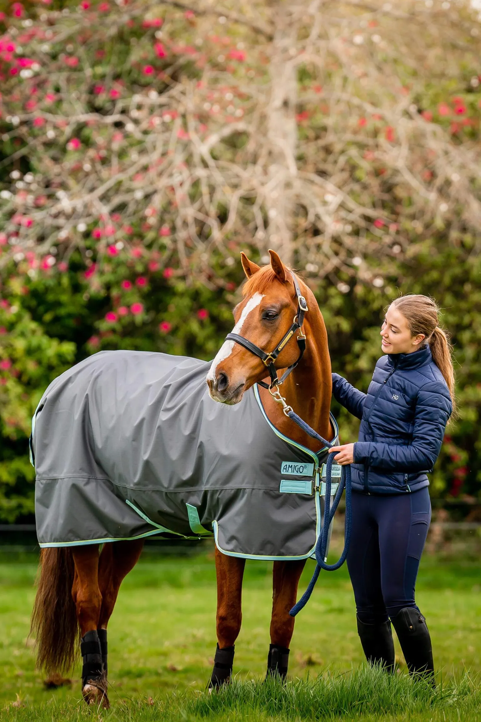 Hot Amigo Hero Ripstop Plus Turnout Rug With Detachable Neck, 200g Medium & Heavyweight Turnout Rugs
