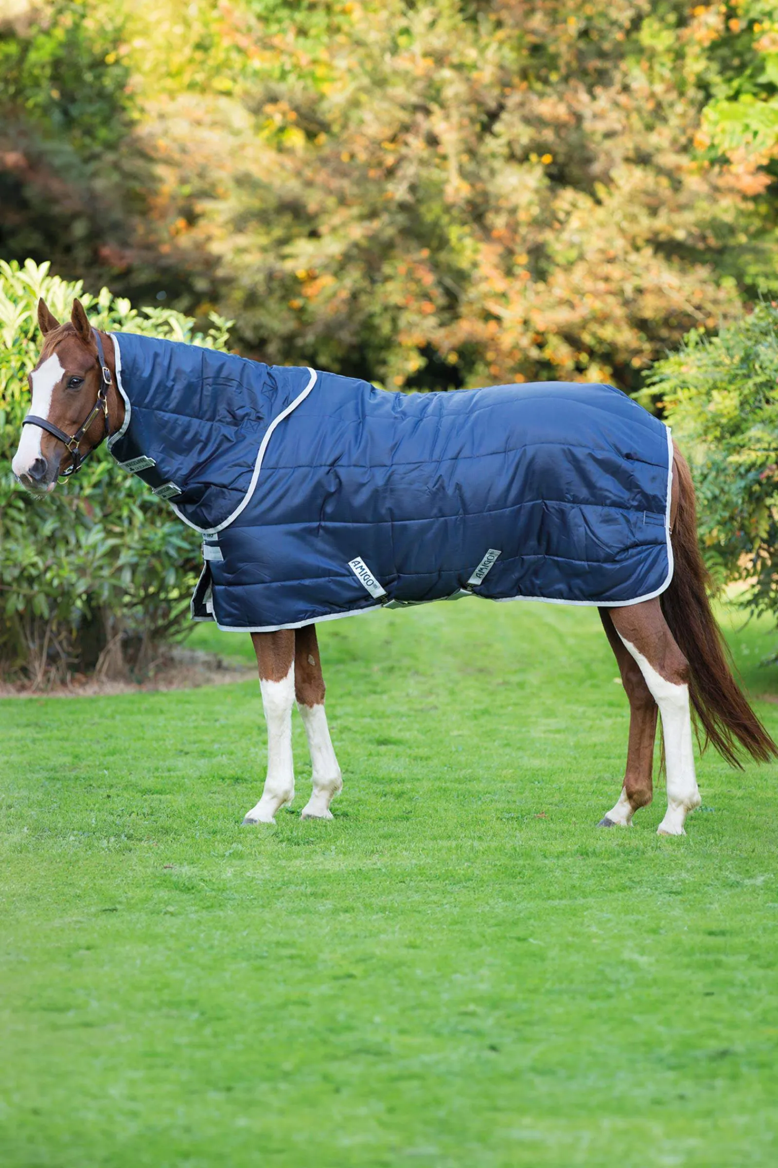 Discount Amigo Insulator Plus Stable Rug With Detachable Neck, 200g Stable Rugs & Liners