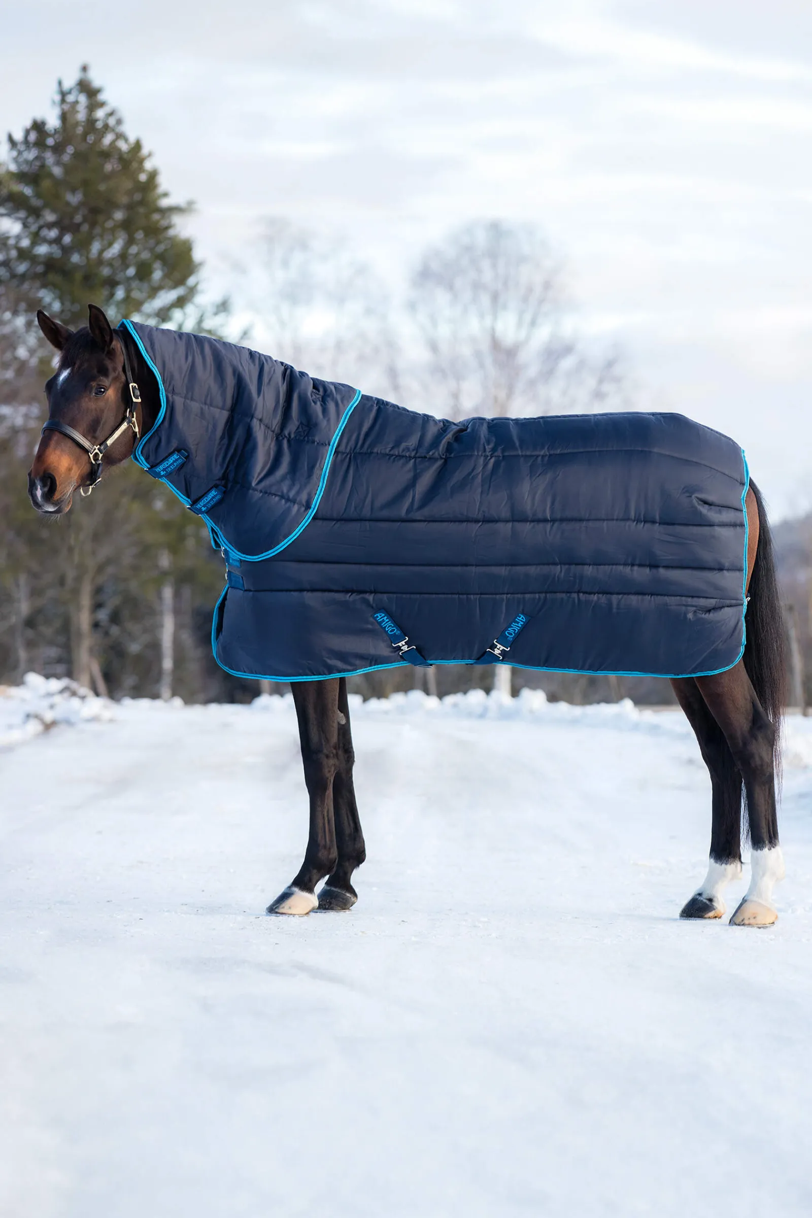 Discount Amigo Insulator Plus Super Stable Rug With Detachable Neck, 550g Stable Rugs & Liners