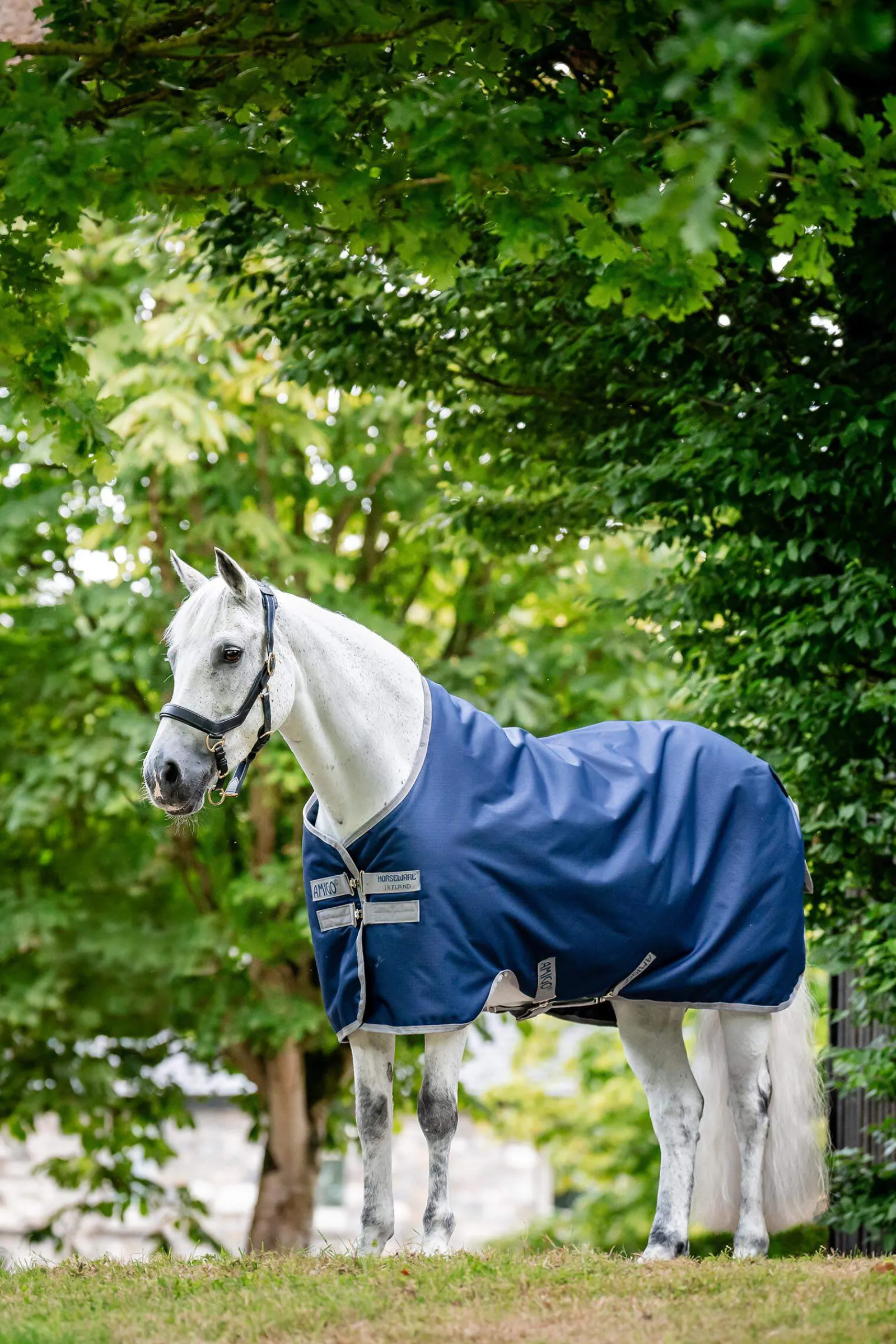 New Amigo Ripstop 900 Fleece Lined Original 50g Lightweight Turnout Rugs