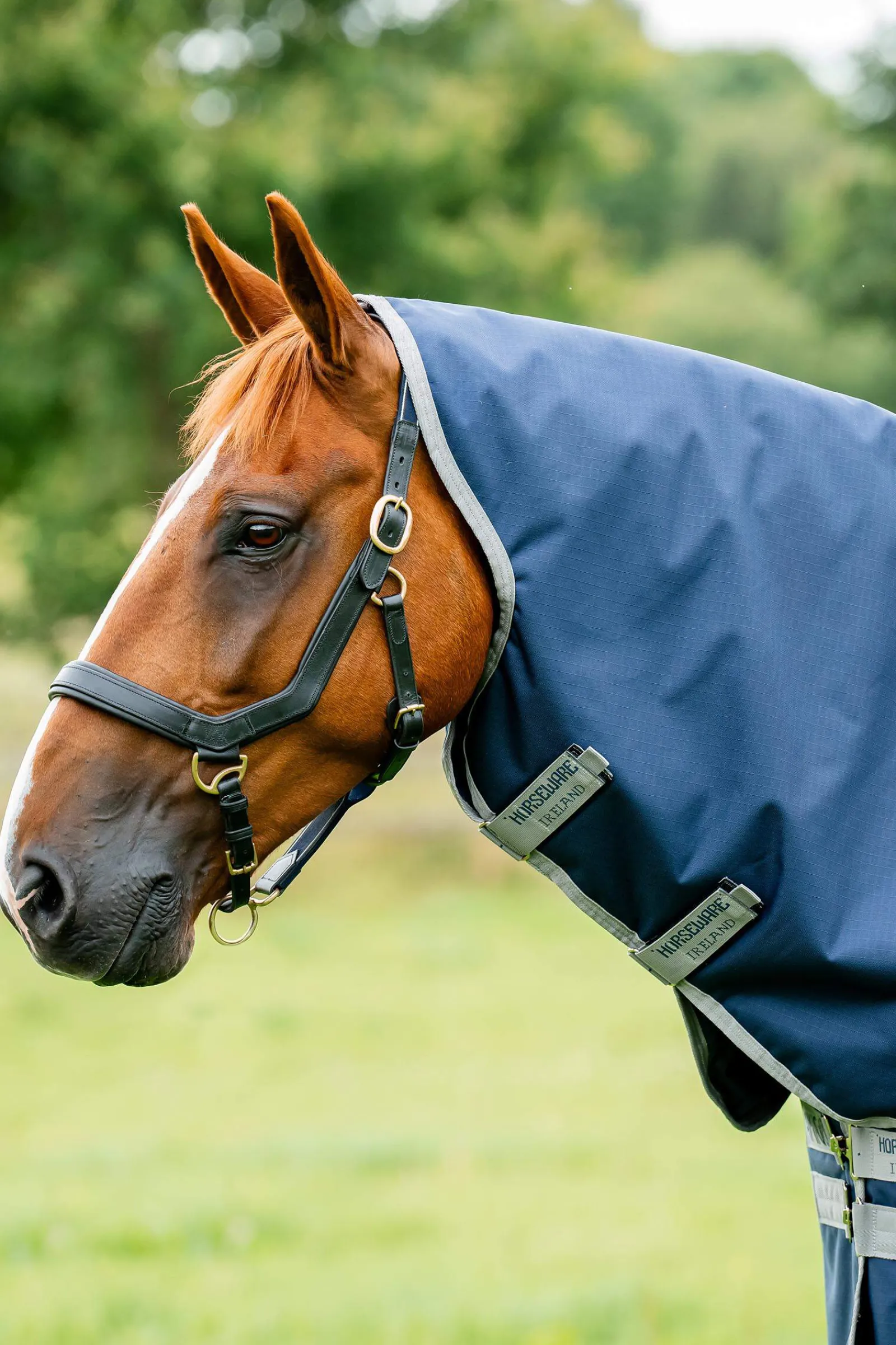 Online Amigo Ripstop 900D Plus Turnout 100g Lightweight Turnout Rugs