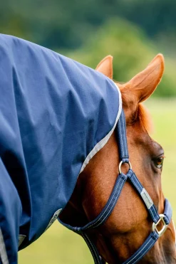 Online Amigo Ripstop 900D Plus Turnout 100g Lightweight Turnout Rugs