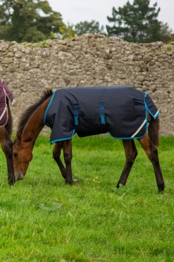 Outlet Amigo Ripstop Foal Rug, 50g Pony Rugs|Pony Rugs