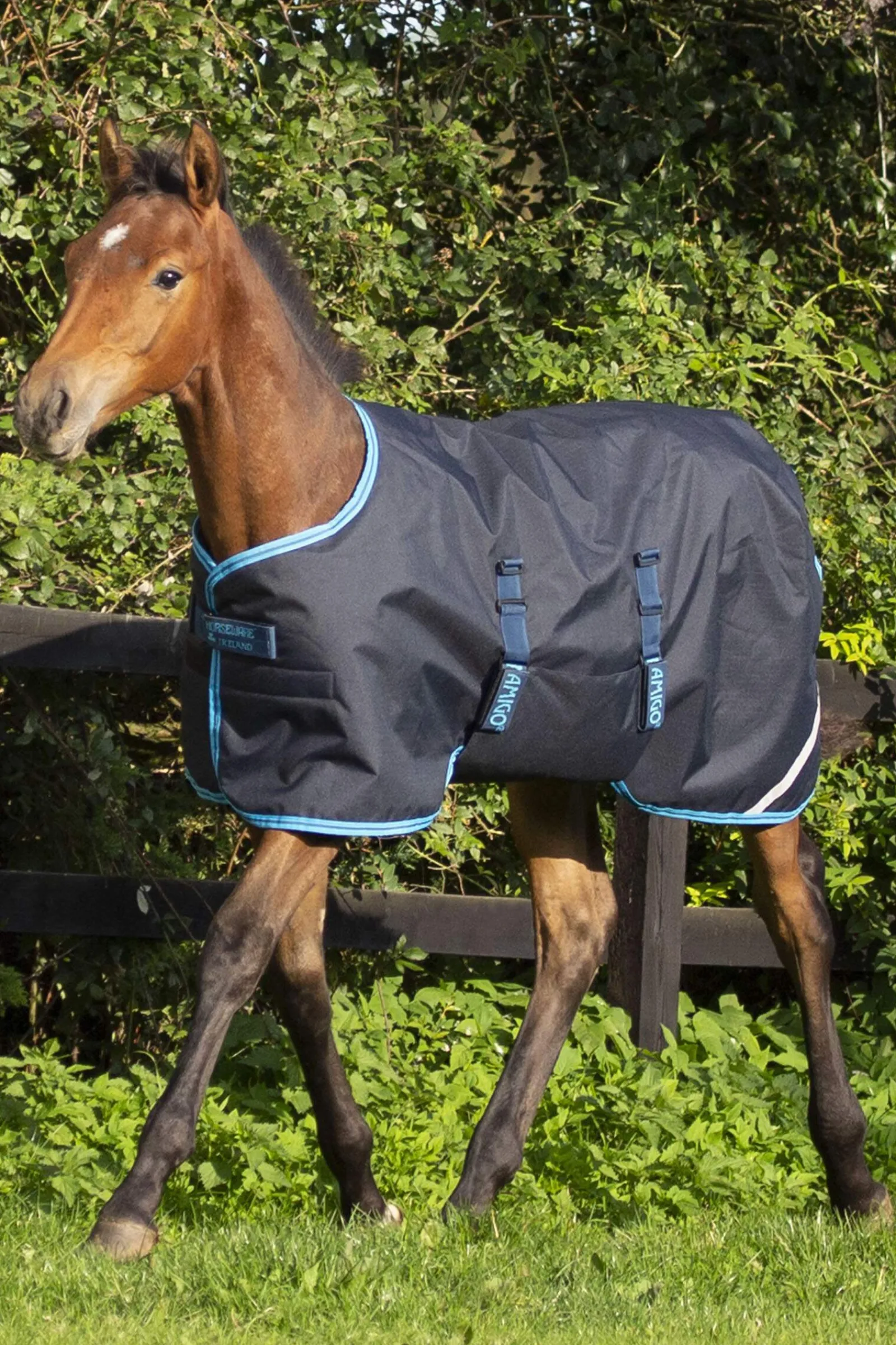 Outlet Amigo Ripstop Foal Rug, 200g Pony Rugs|Pony Rugs