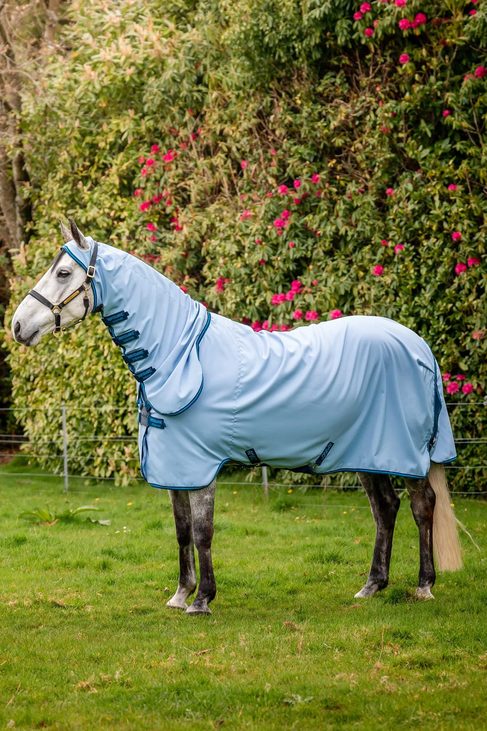 New Amigo Ripstop Hoody Eczema Rug, 0g Sweet Itch Rugs|Sweet Itch Rugs
