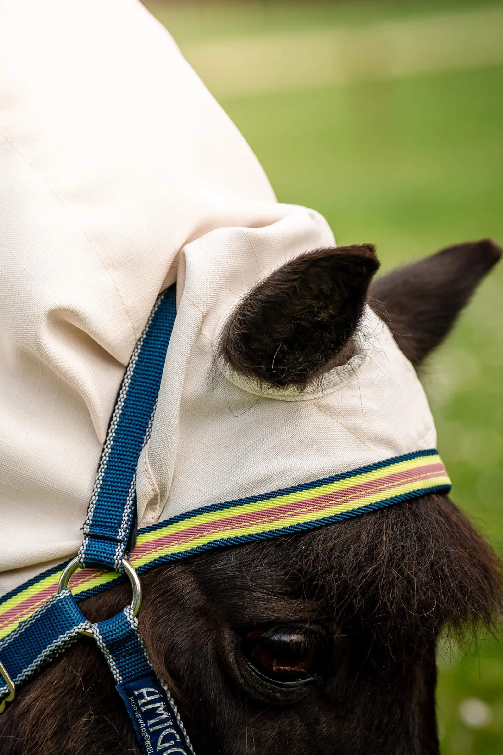 Best Amigo Ripstop Petite Hoody Pony Rugs|Pony Rugs