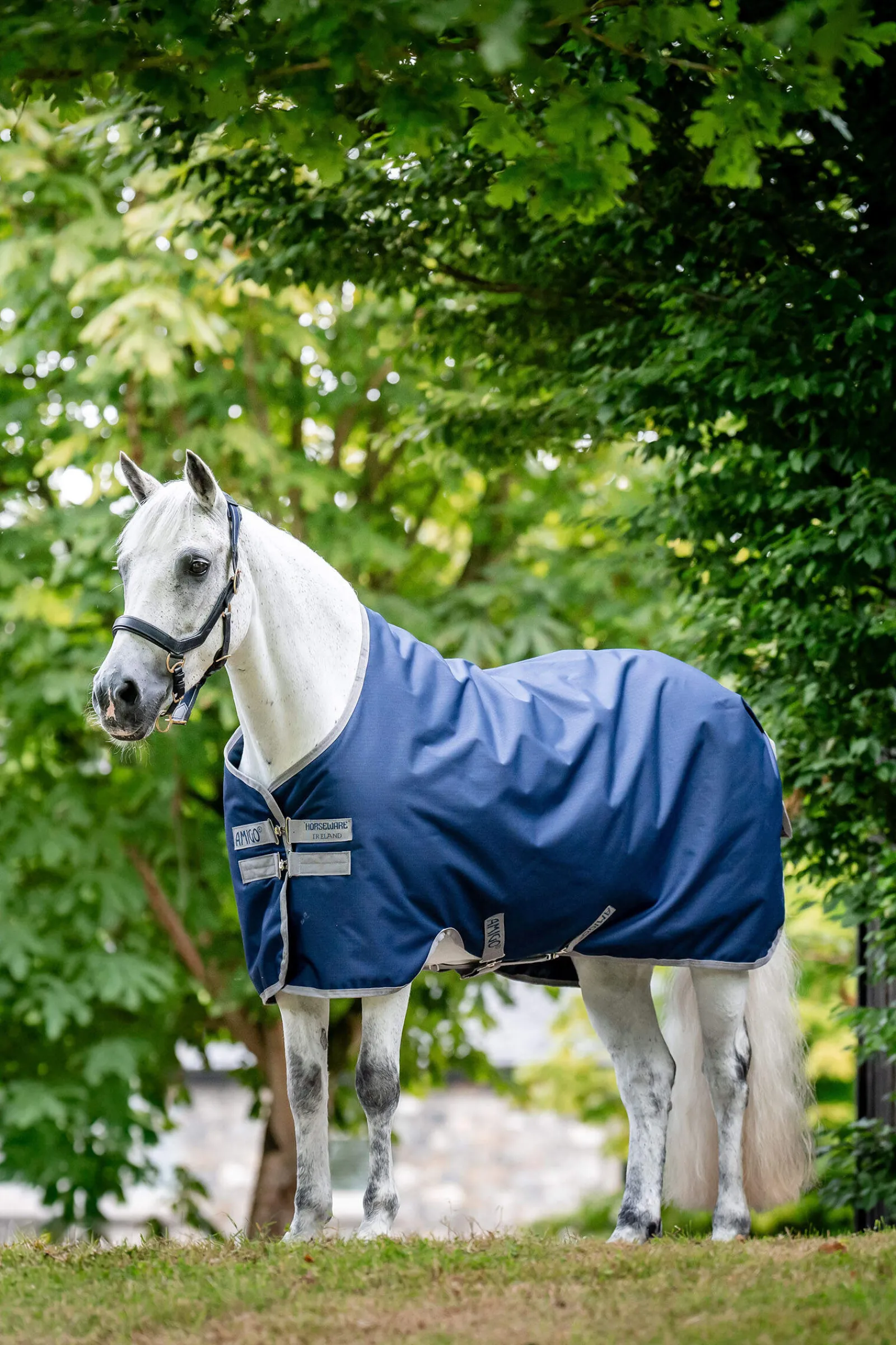 New Amigo Ripstop Turnout Rug 900D, 50g Lightweight Turnout Rugs