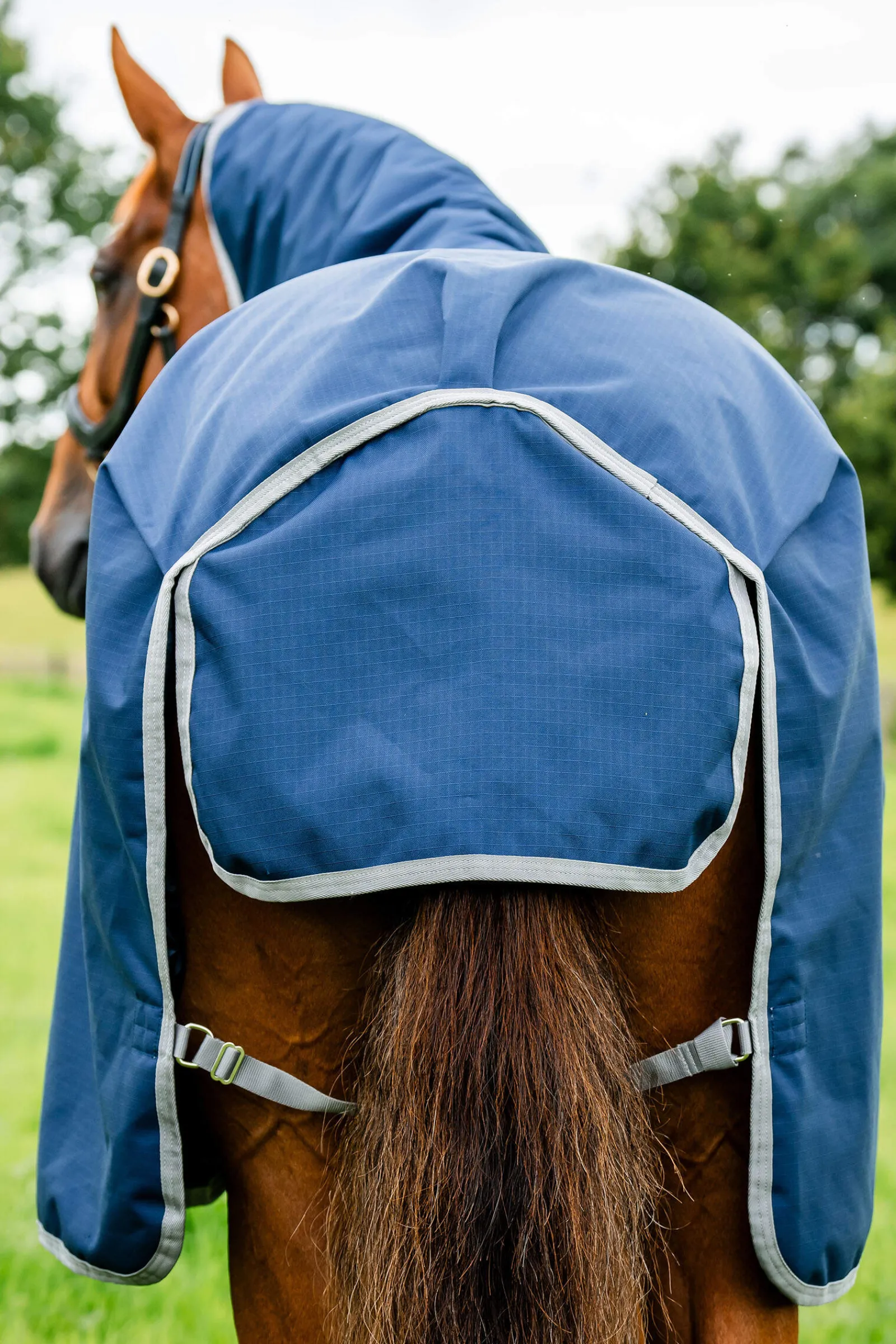 New Amigo Ripstop Turnout Rug 900D, 50g Lightweight Turnout Rugs