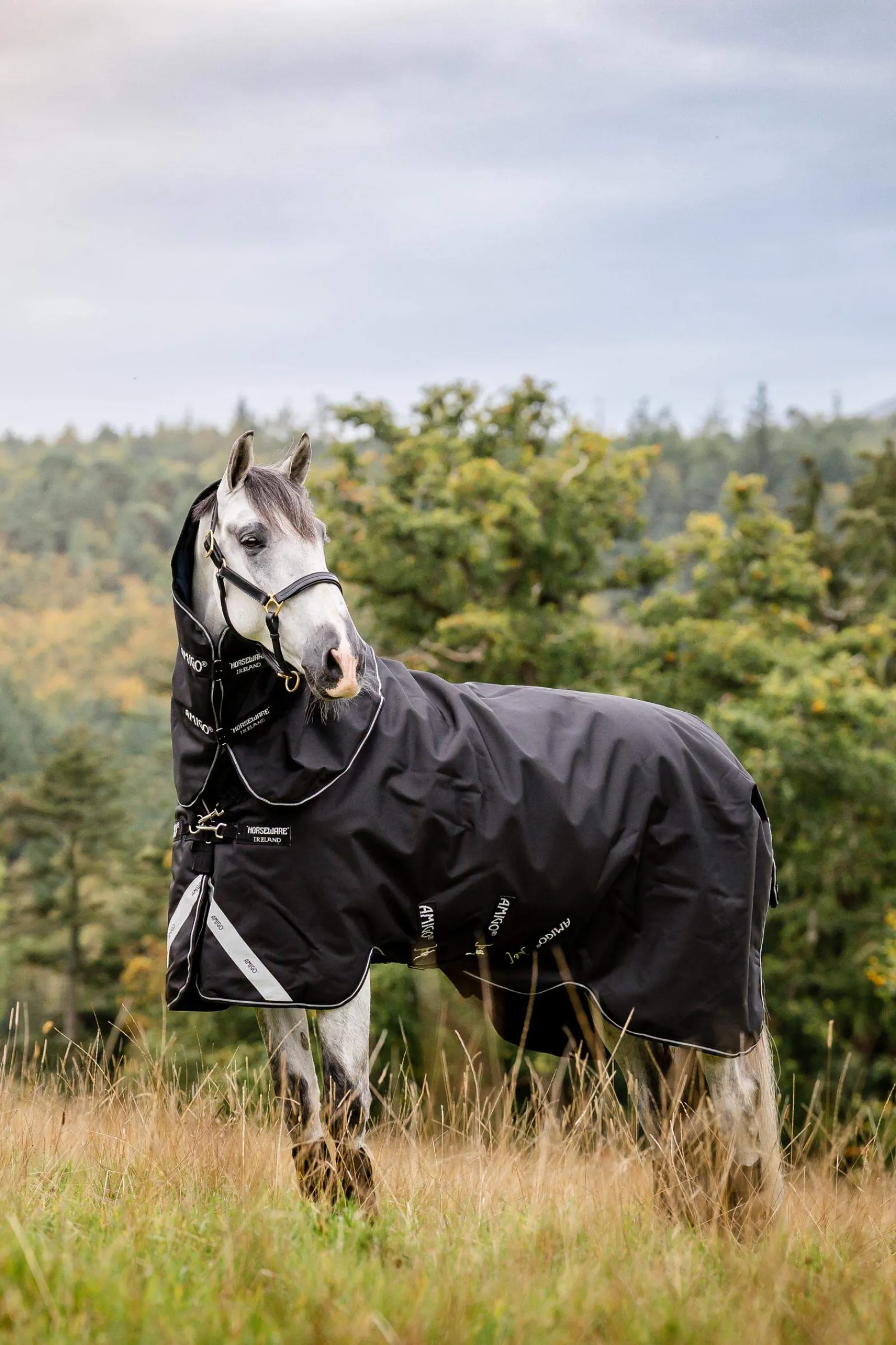 Online Amigo Super Bravo Plus Turnout Rug With Detachable Neck, 250g Medium & Heavyweight Turnout Rugs