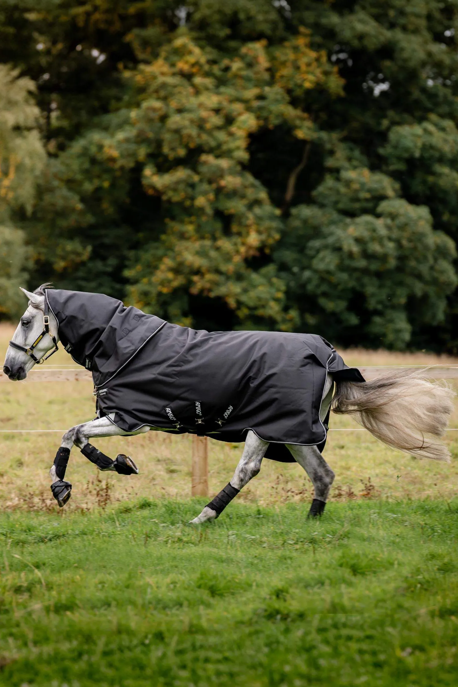 Online Amigo Super Bravo Plus Turnout Rug With Detachable Neck, 250g Medium & Heavyweight Turnout Rugs