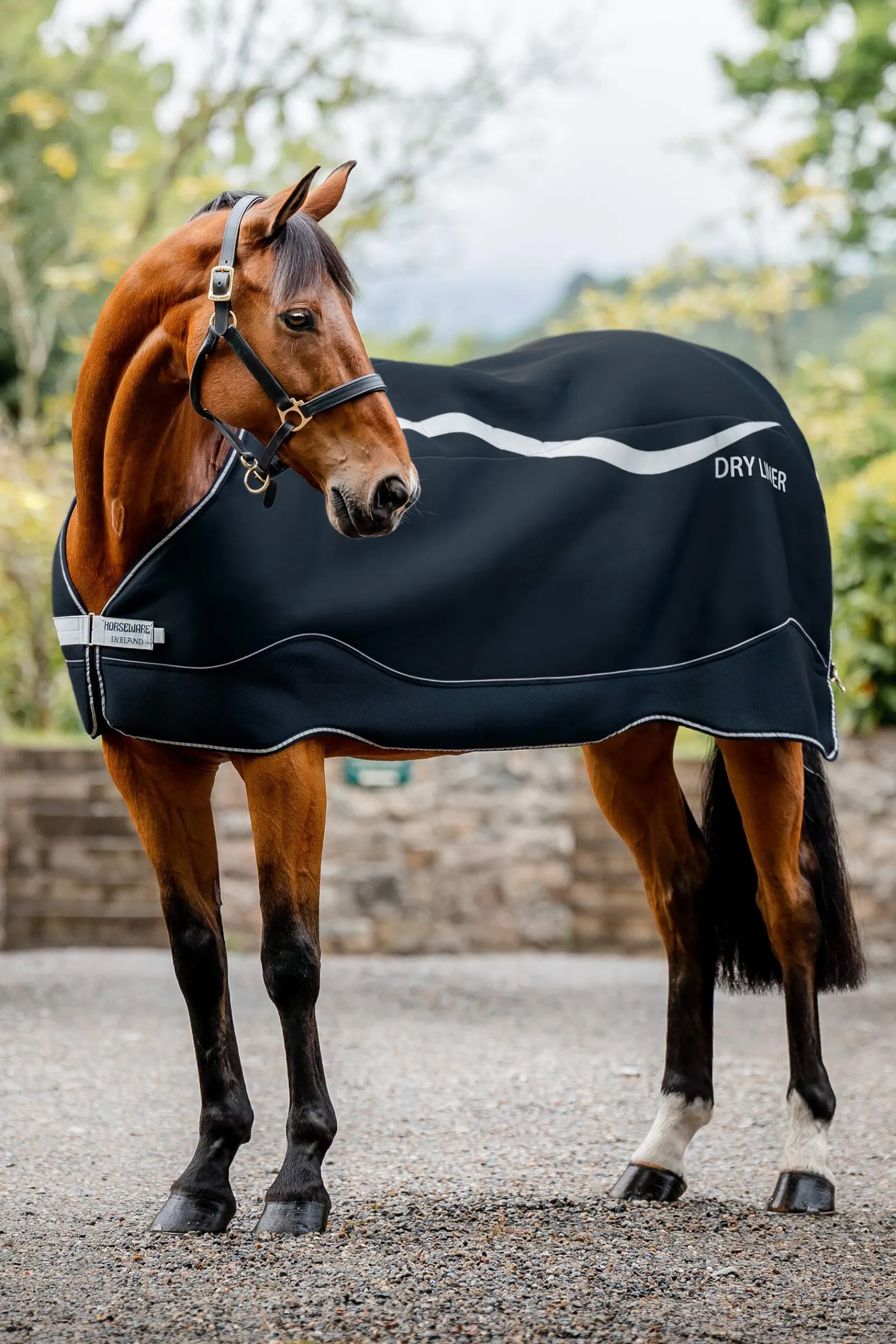 Outlet Dry Liner, 50g Stable Rugs & Liners
