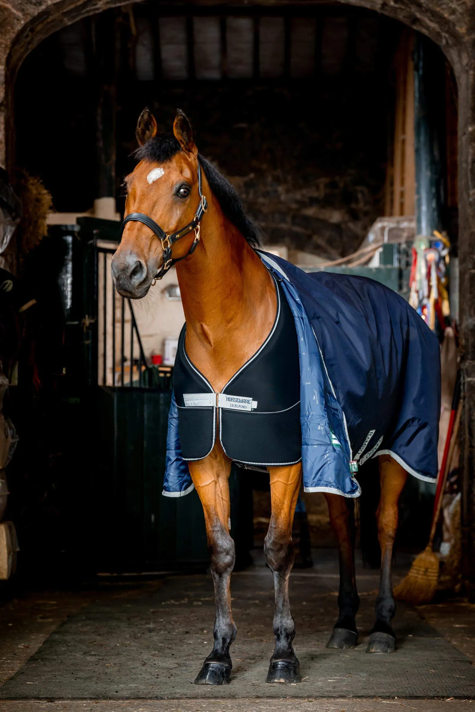 Outlet Dry Liner, 50g Stable Rugs & Liners