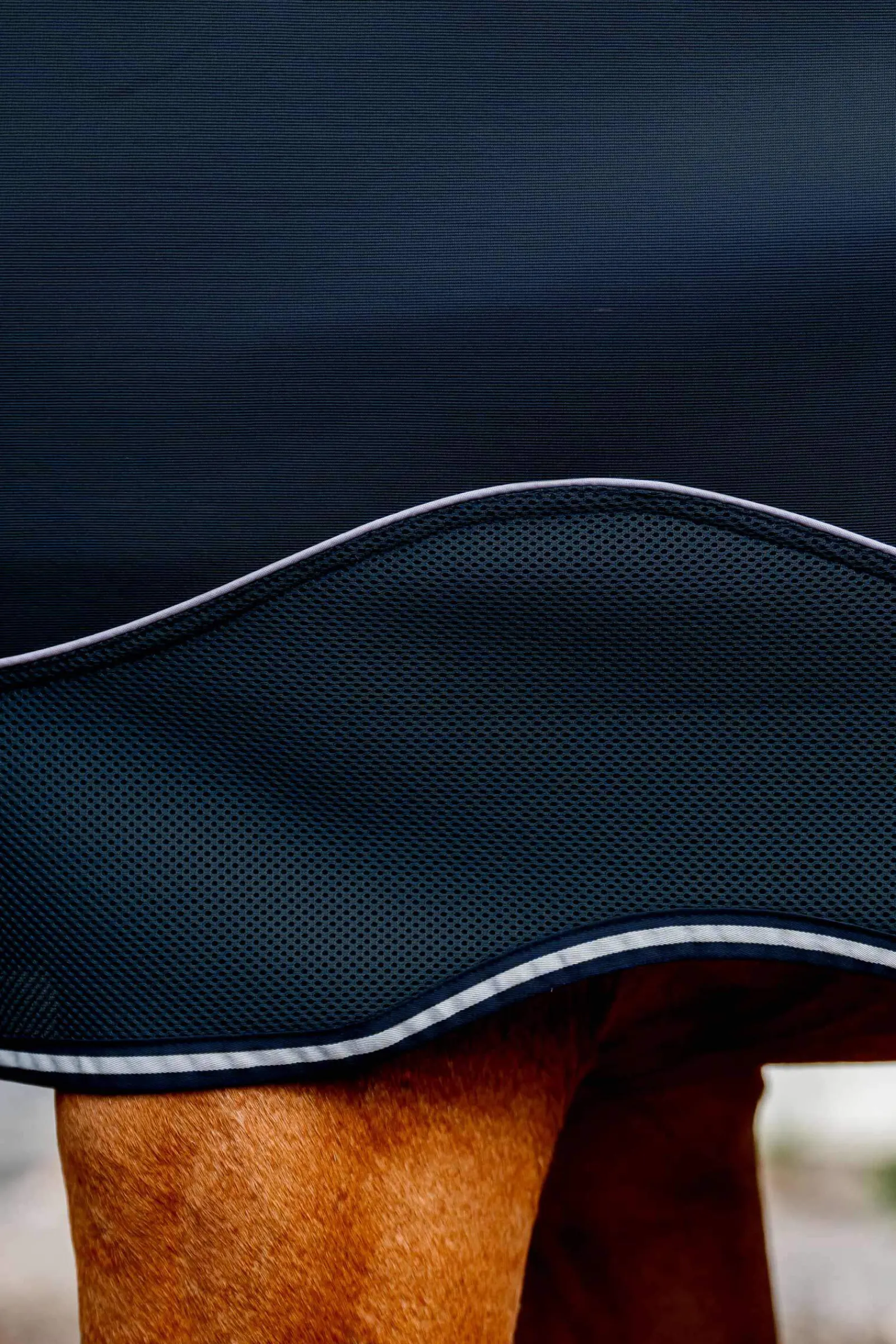 Outlet Dry Liner, 50g Stable Rugs & Liners