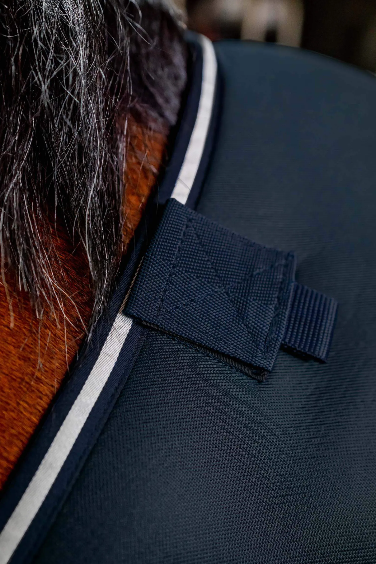 Outlet Dry Liner, 50g Stable Rugs & Liners