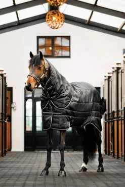 Outlet Easy-Layer Plus Stable Rug, 200g Stable Rugs & Liners