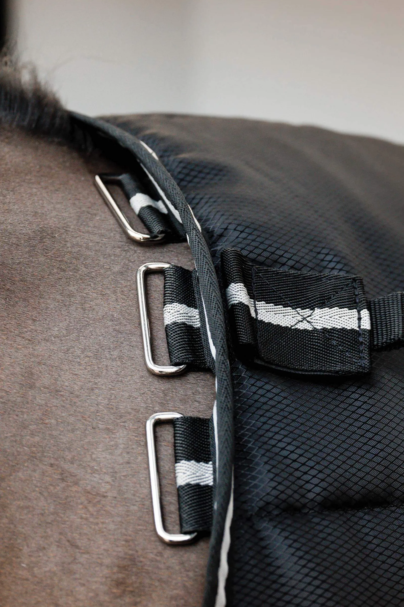 Outlet Easy-Layer Plus Stable Rug, 200g Stable Rugs & Liners