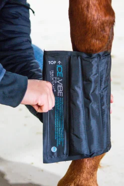 Best Ice-Vibe Boots Women Leg Wraps|Horse Boots