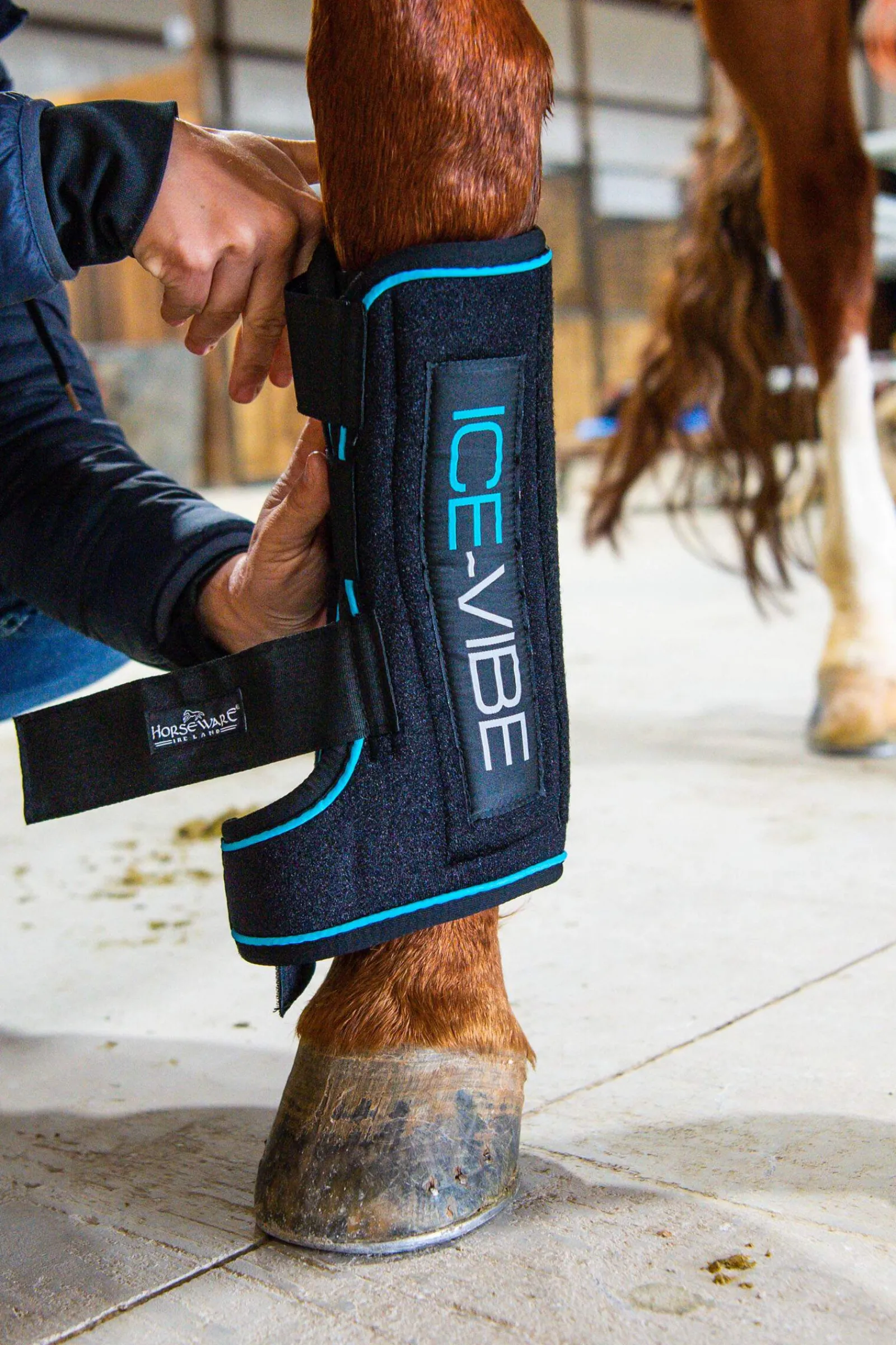 Best Ice-Vibe Boots Women Leg Wraps|Horse Boots