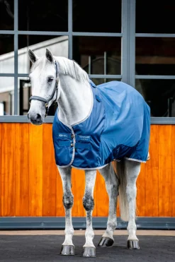 Best Ionic Therapy Mesh Cooler Rug Therapy Rugs