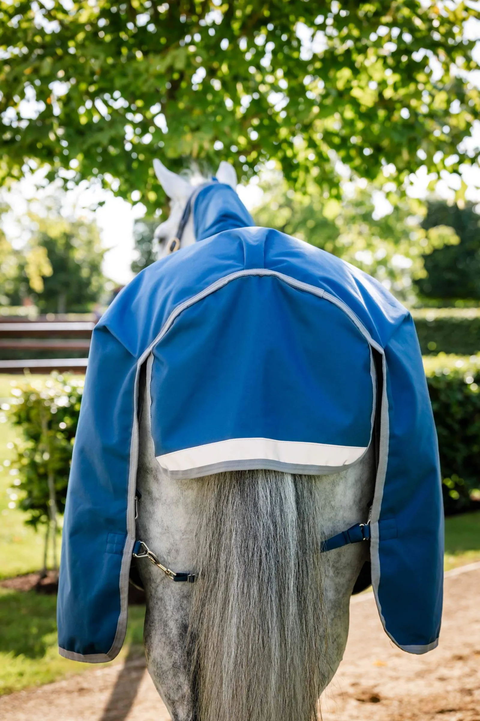 Outlet Ionic Therapy Turnout Rug, 100g Therapy Rugs