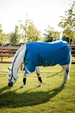 Outlet Ionic Therapy Turnout Rug, 100g Therapy Rugs