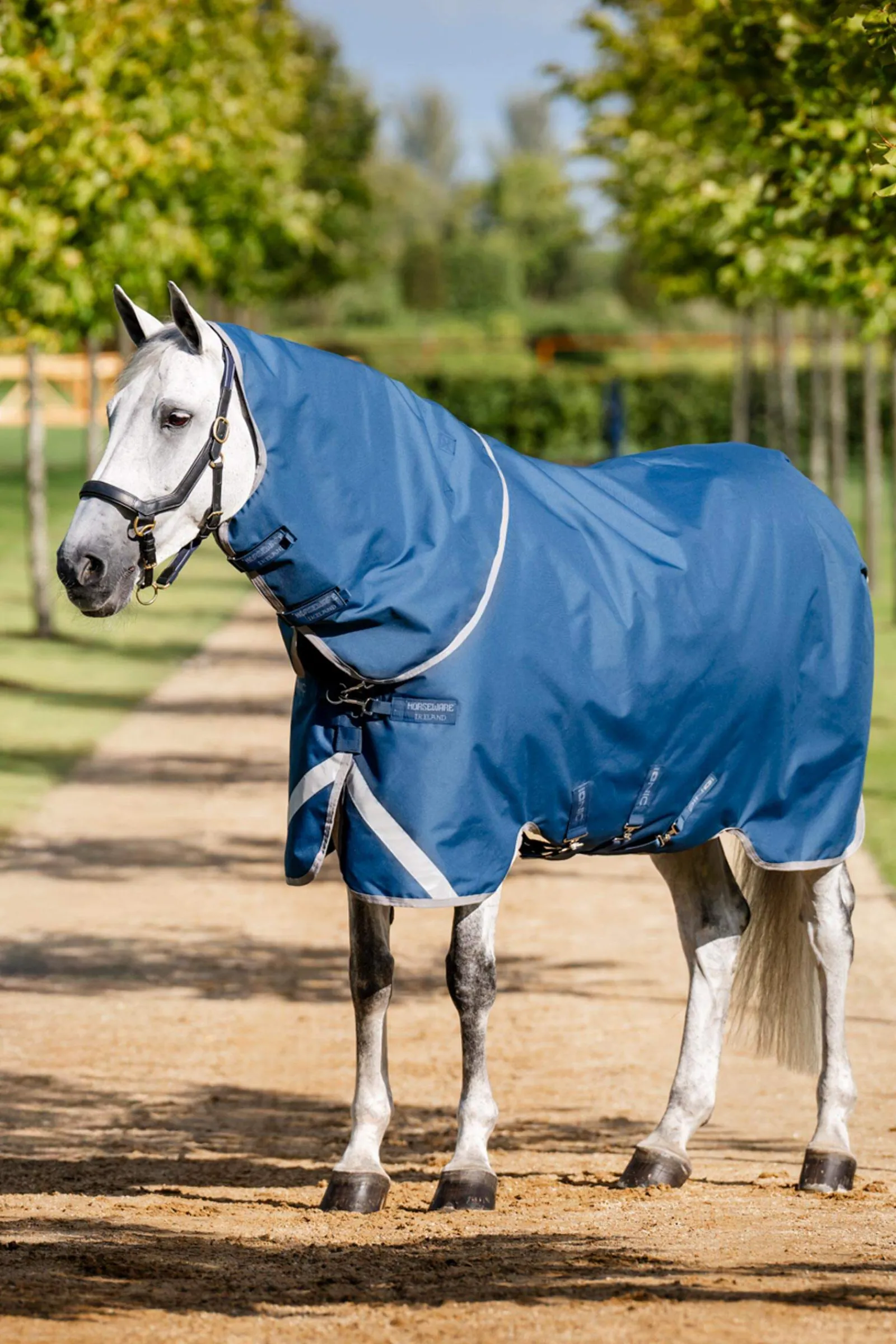 Outlet Ionic Therapy Turnout Rug, 100g Therapy Rugs