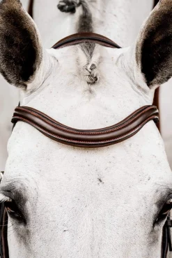 Discount Micklem 2 Competition Bridle Pony Bridles & Halters|Bridles & Nosebands