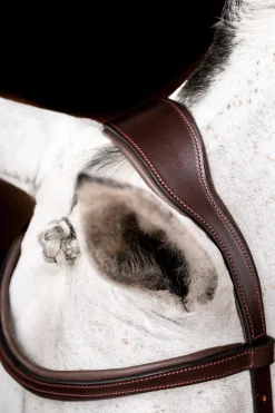 Best Micklem 2 Competition Bridle With Rubber Reins Pony Bridles & Halters|Bridles & Nosebands