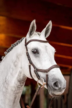 Best Micklem 2 Competition Bridle With Rubber Reins Pony Bridles & Halters|Bridles & Nosebands