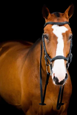 Outlet Micklem 2 Deluxe Competition Bridle Pony Bridles & Halters|Bridles & Nosebands