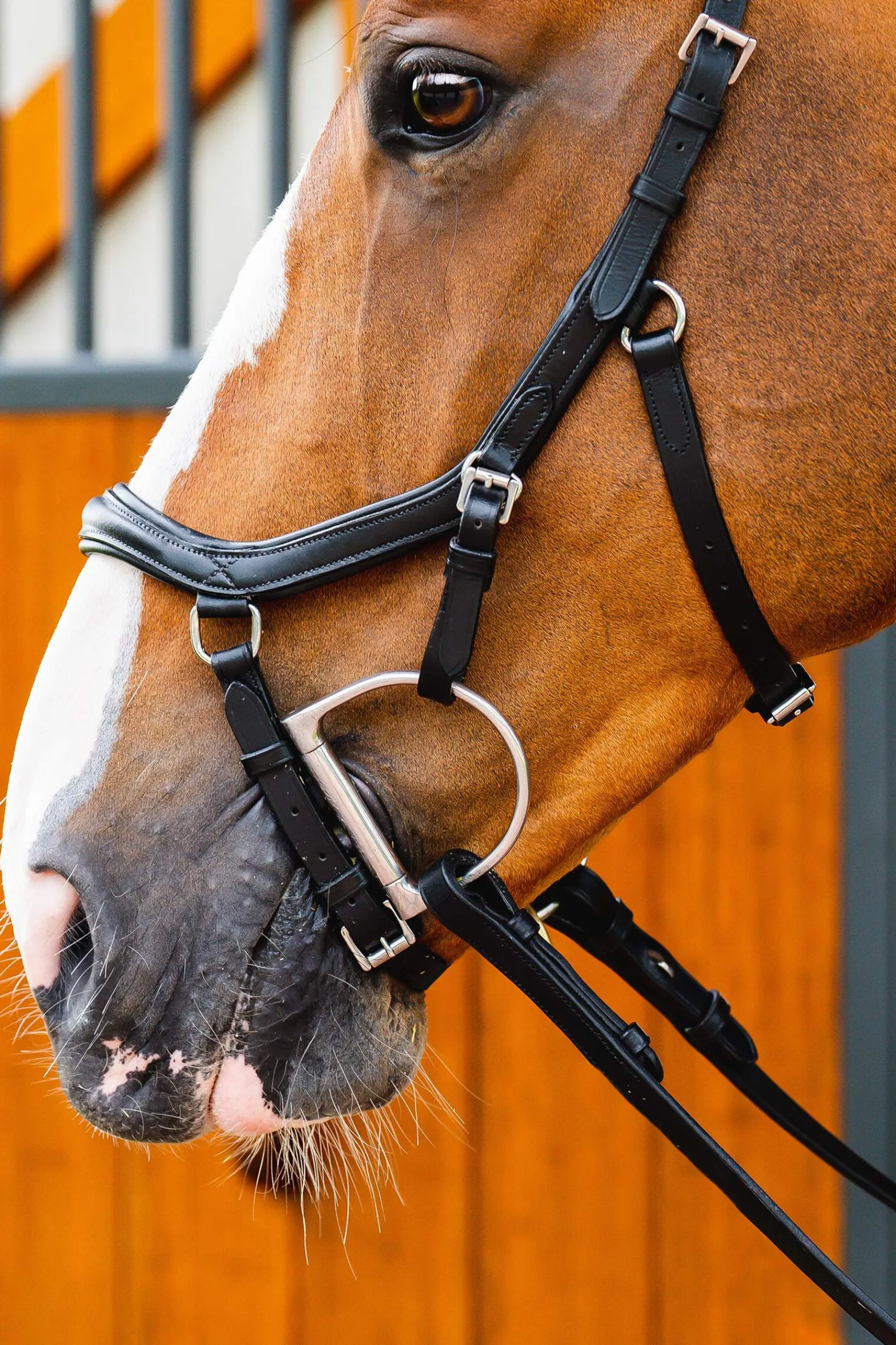 Outlet Micklem 2 Deluxe Competition Bridle Pony Bridles & Halters|Bridles & Nosebands
