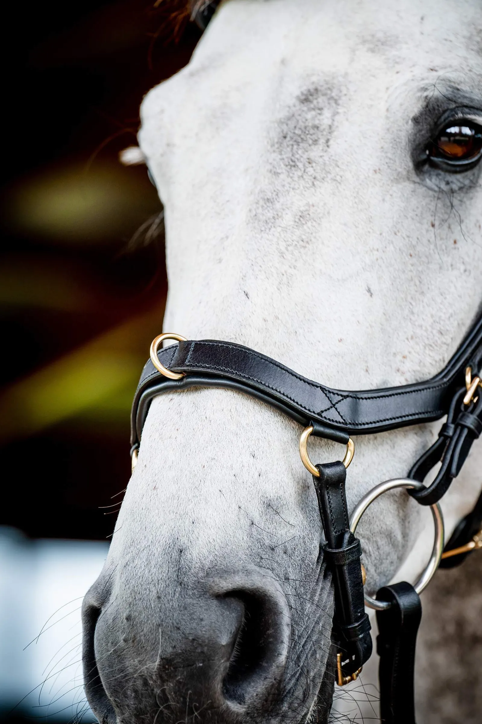 Best Micklem 2 Multi Bridle Pony Bridles & Halters|Bridles & Nosebands