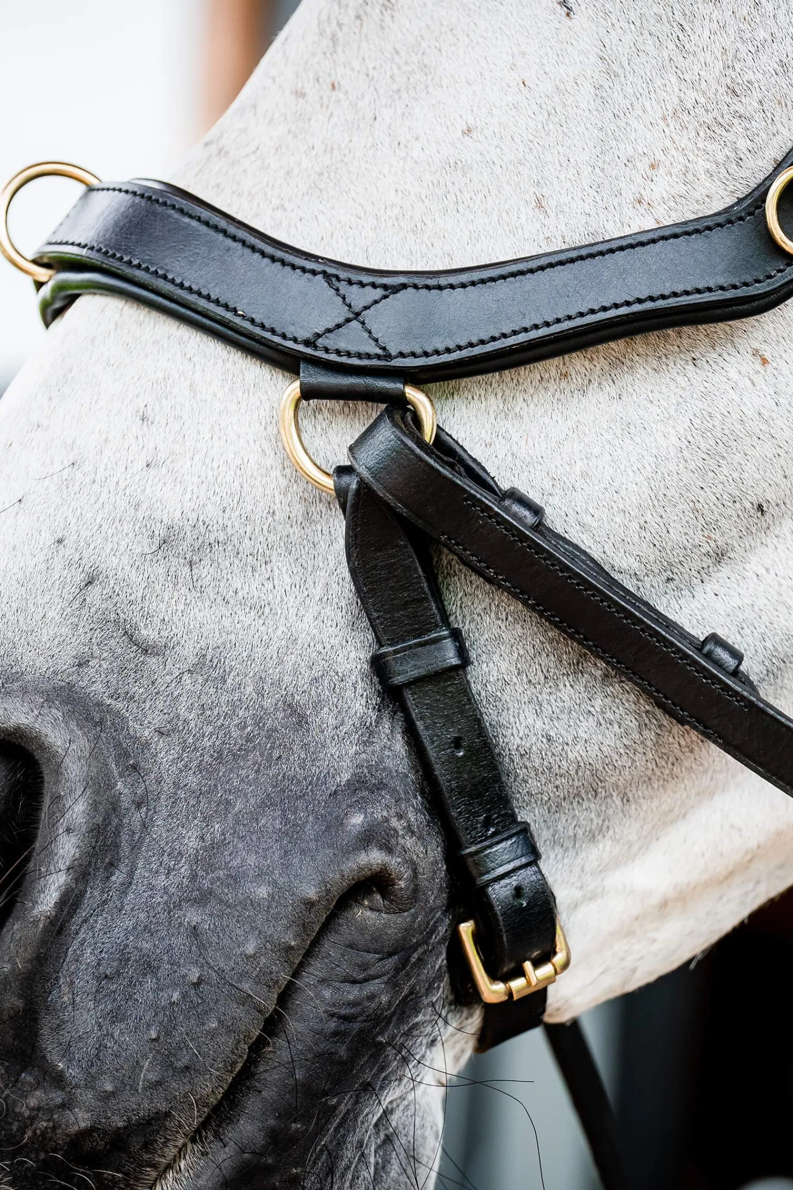 Best Micklem 2 Multi Bridle Pony Bridles & Halters|Bridles & Nosebands