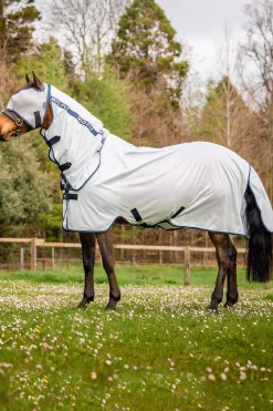 Best Mio Fly Rug With Fixed Neck Fly Rugs|Fly Rugs