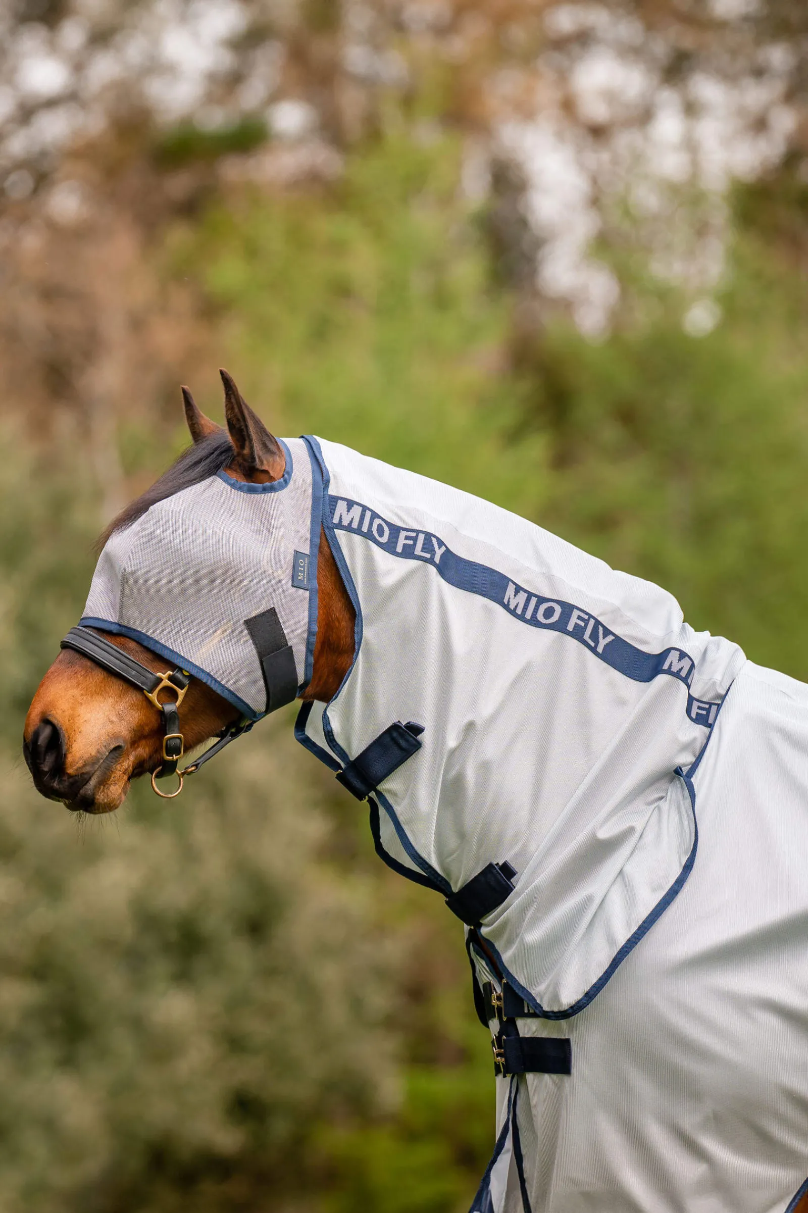 Best Mio Fly Rug With Fixed Neck Fly Rugs|Fly Rugs