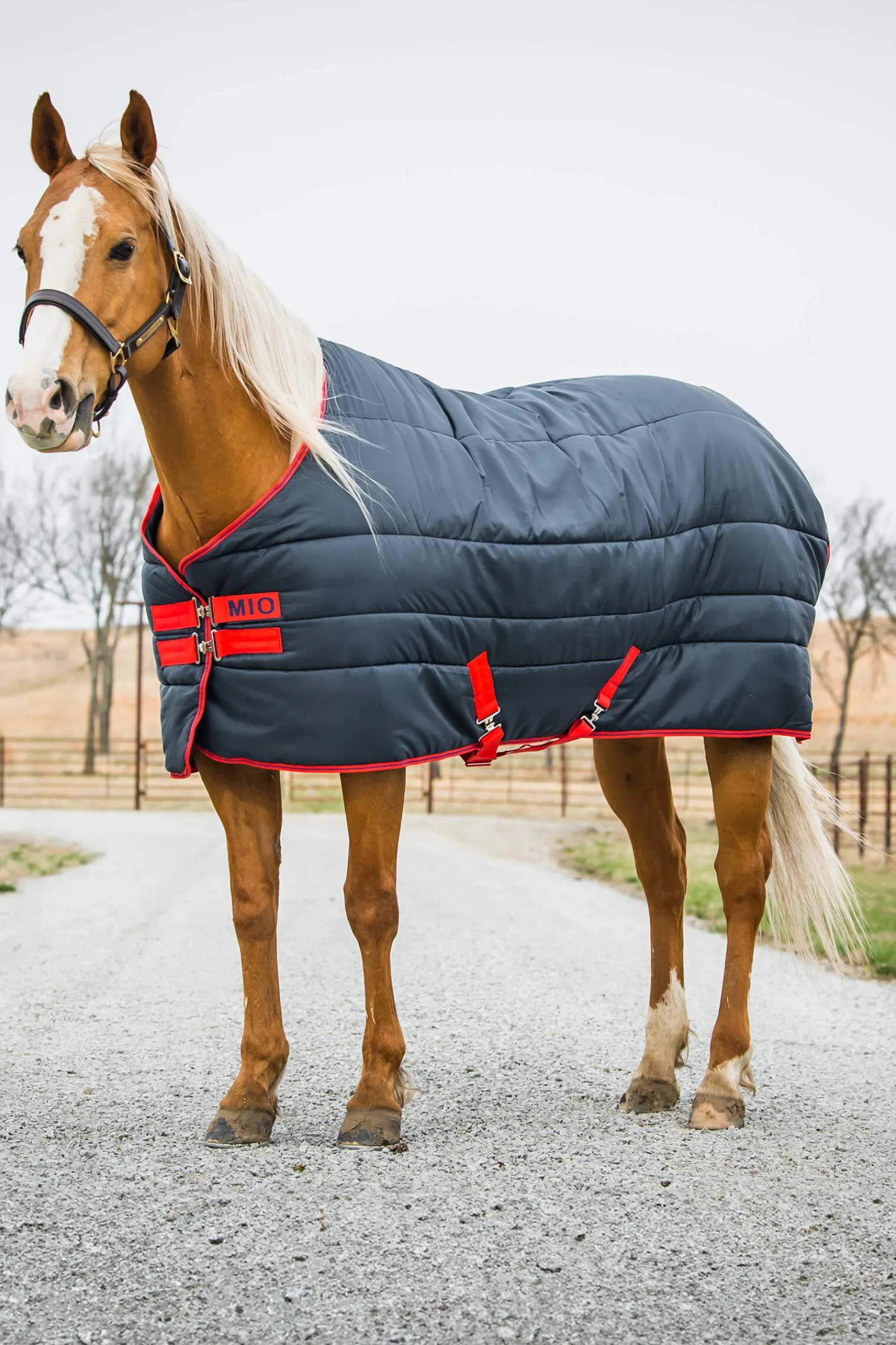 Fashion Mio Insulator Stable Rug, 150g Stable Rugs & Liners