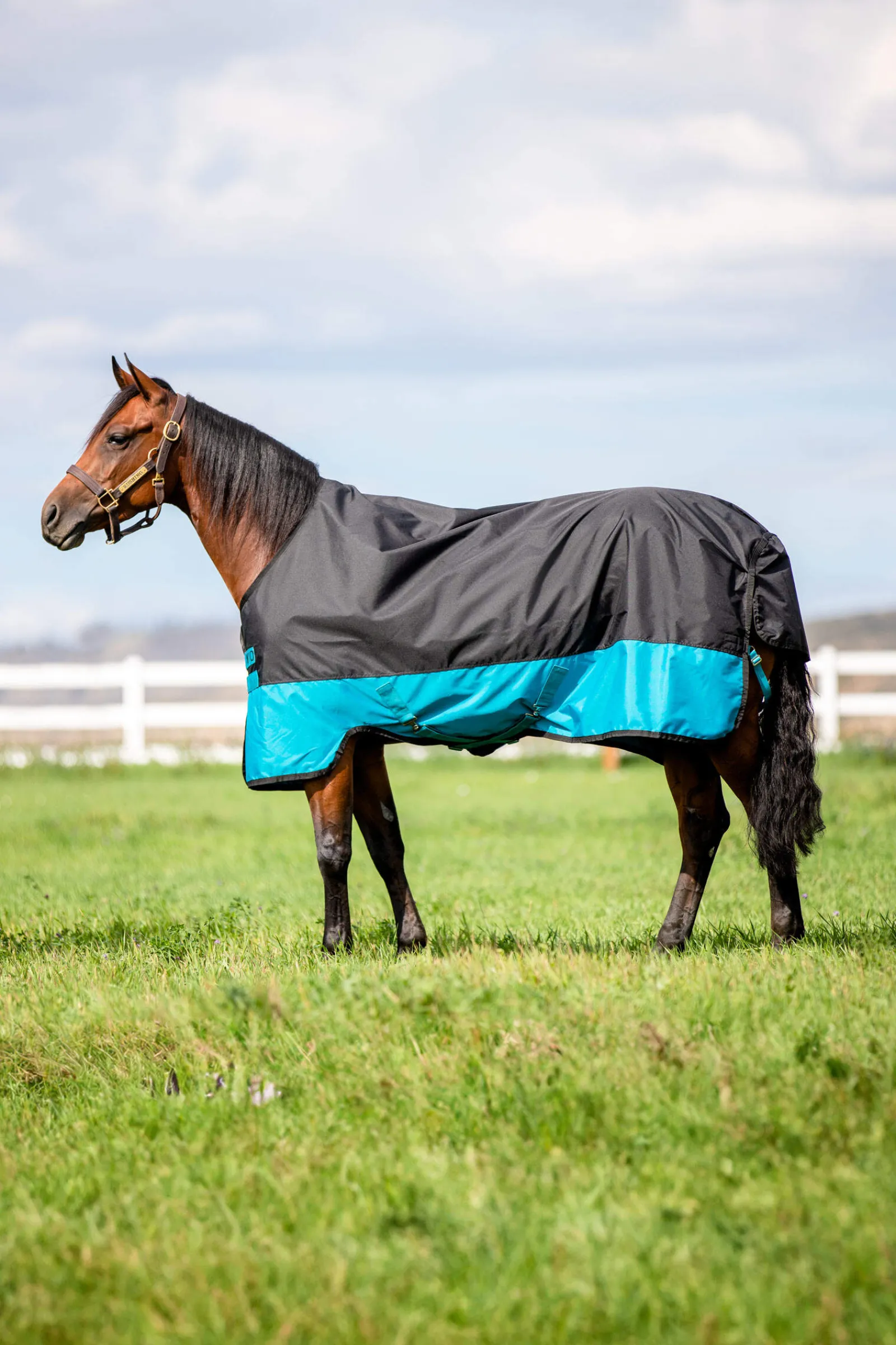 Hot Mio Turnout Rug, 200g Medium & Heavyweight Turnout Rugs