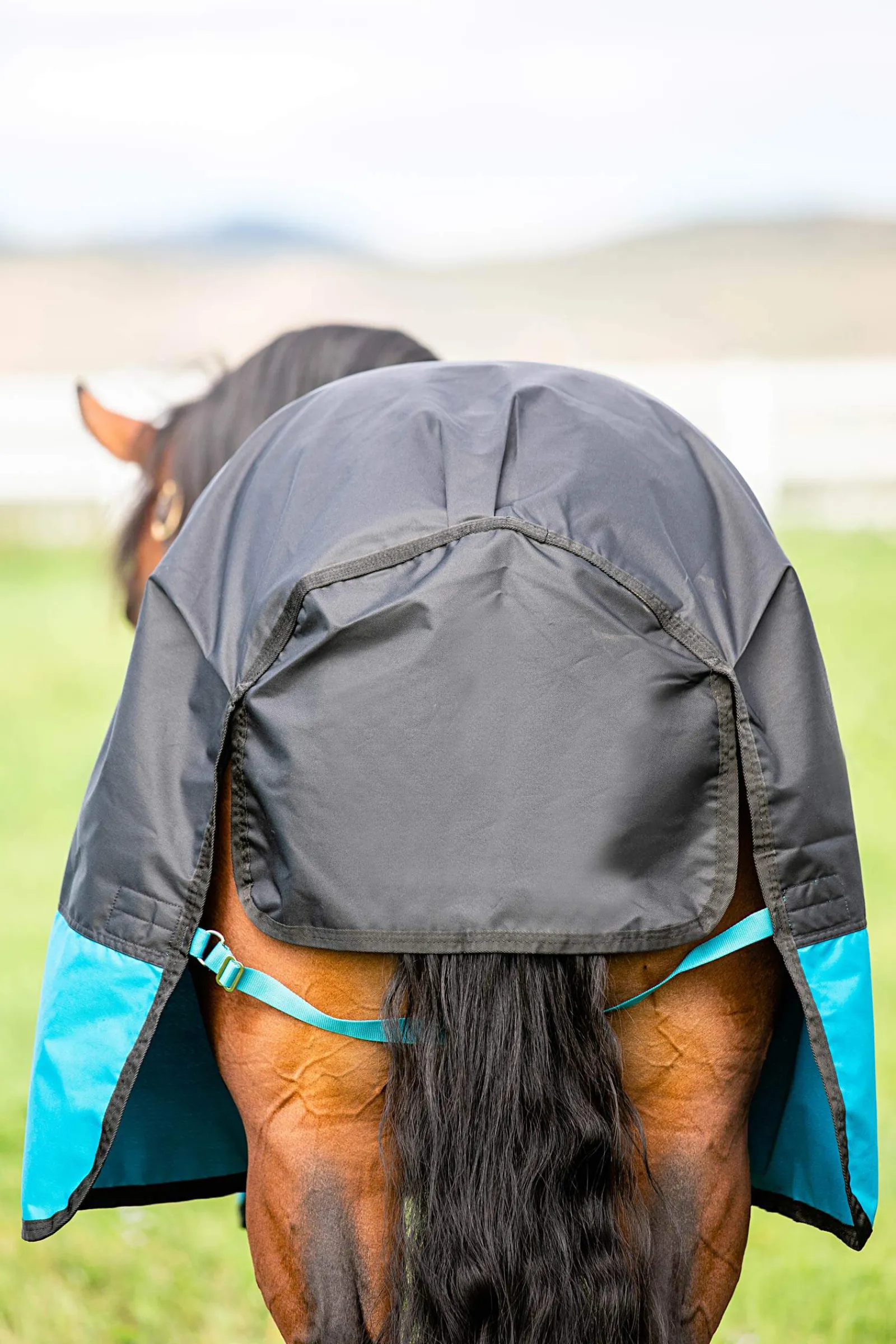 Discount Mio Turnout Rug, 0g Lightweight Turnout Rugs