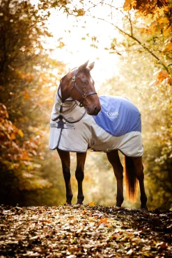 New Rambo Autumn Series Turnout Rug With Liner (0g / 100g) Lightweight Turnout Rugs