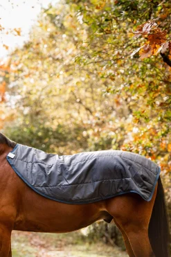 New Rambo Autumn Series Turnout Rug With Liner (0g / 100g) Lightweight Turnout Rugs