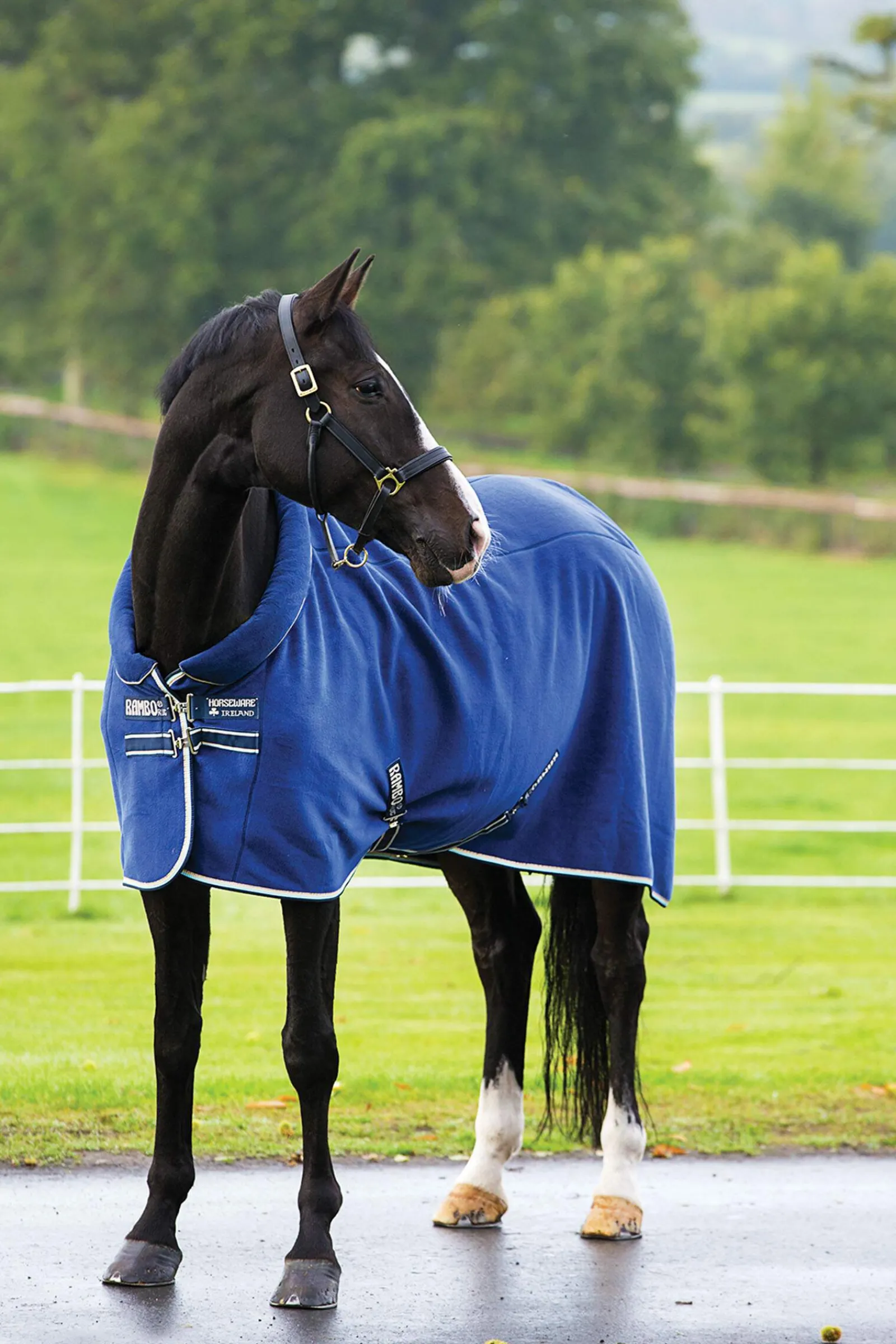 Sale Rambo Cosy Fleece Cooler Fleece Horse Rugs & Cooler Rugs