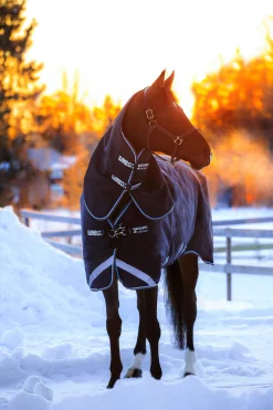 New Rambo Duo Turnout incl. Detachable Hood, 100g Lightweight Turnout Rugs